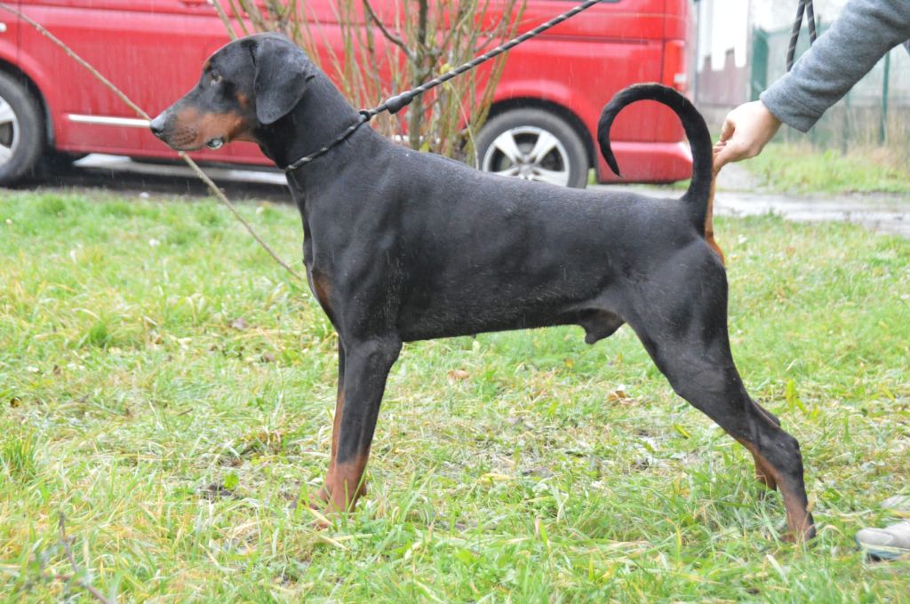 Terminator du mistral des vallons